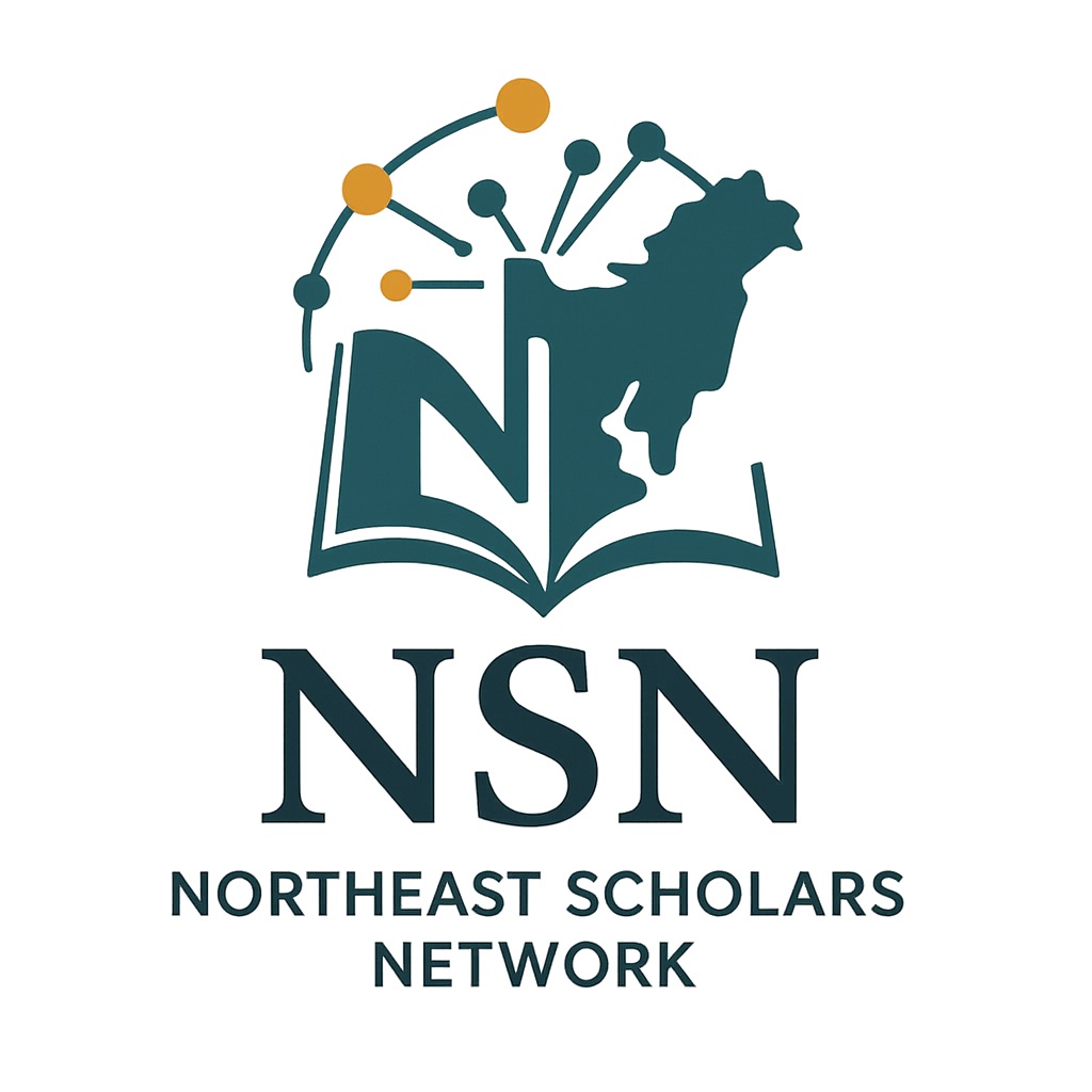 NSN Logo